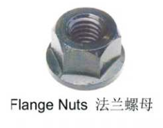 Flange Nuts